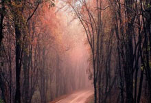 欧博体育:冠军奥运篇|韩旭:我不想奥运会留遗憾.