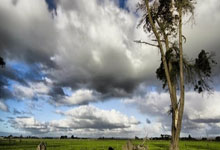 欧博体育:来了来了!预测杨瀚森第57顺位!NBA苦等的中国球员.