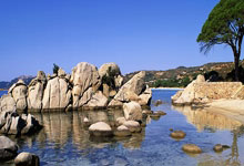 欧博体育:英联杯-贝里瓦尔制胜 热刺1-0利物浦占先机.